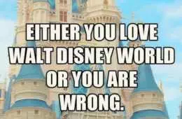 Funny Disney World Wrong