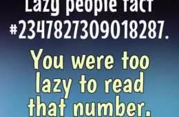 Funny Lazy Fact
