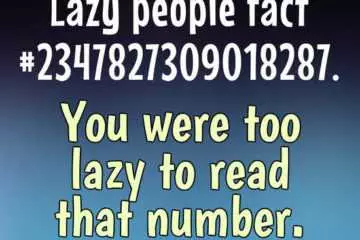 Funny Lazy Fact