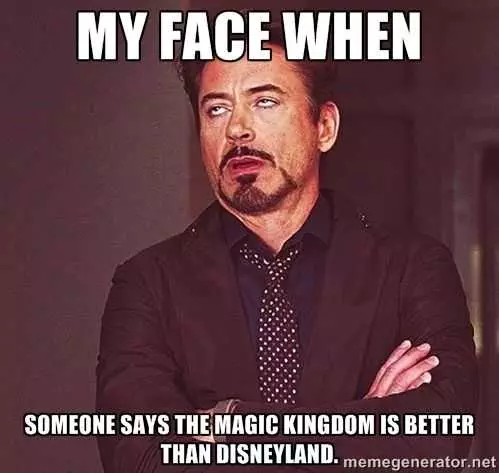 Disney Memes Funny  Magic Kingdom Vs Disney