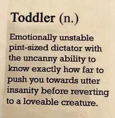 Funny Quote About Life  Toddler