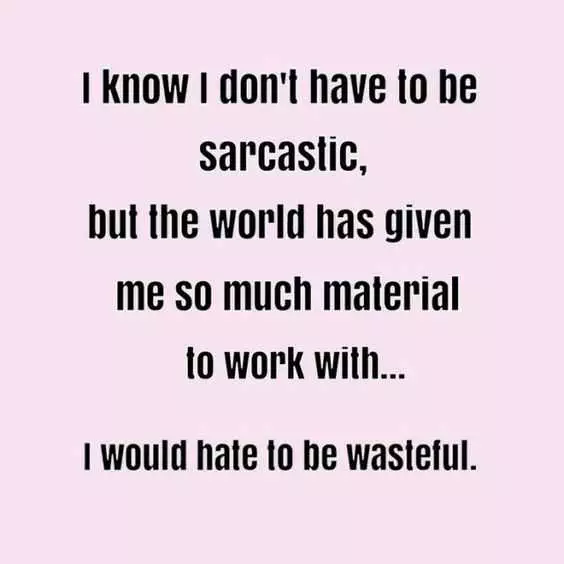 Funny Quote For Life  Sarcasm