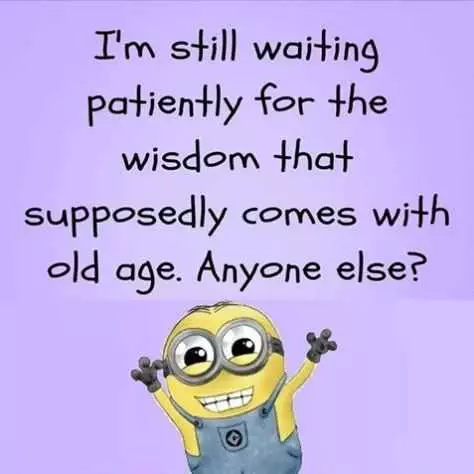 Funny Minion Quotes About Life  Wisdom