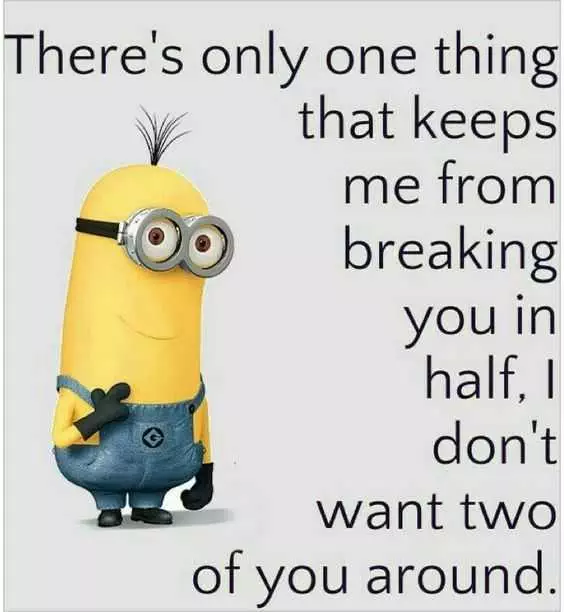 Minion Quotes Funny Jokes Two Of You