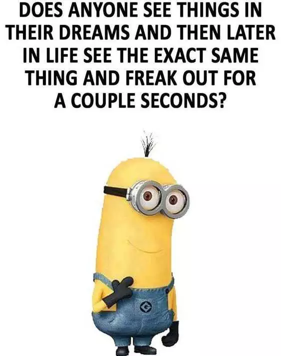Funny Minion Quotes About Life  Deja Vu
