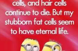 Minion Fat Cells