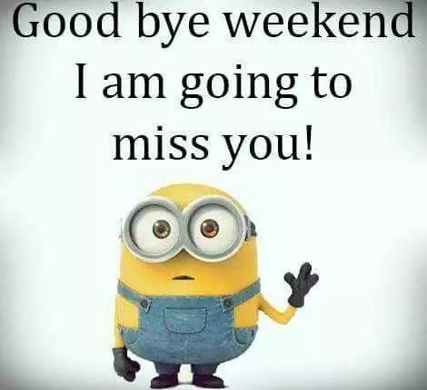 Hilarious Minions Quotes With Attitude  Weekend