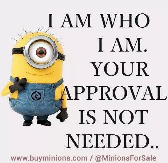 Funny Minion Quotes About Life  Approval