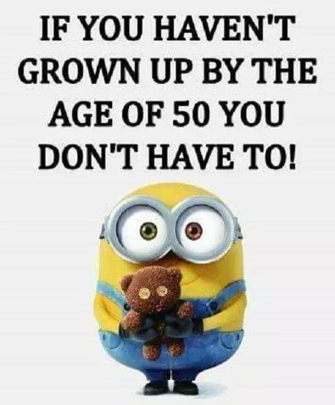Funny Minion Quotes About Life  Growing Up