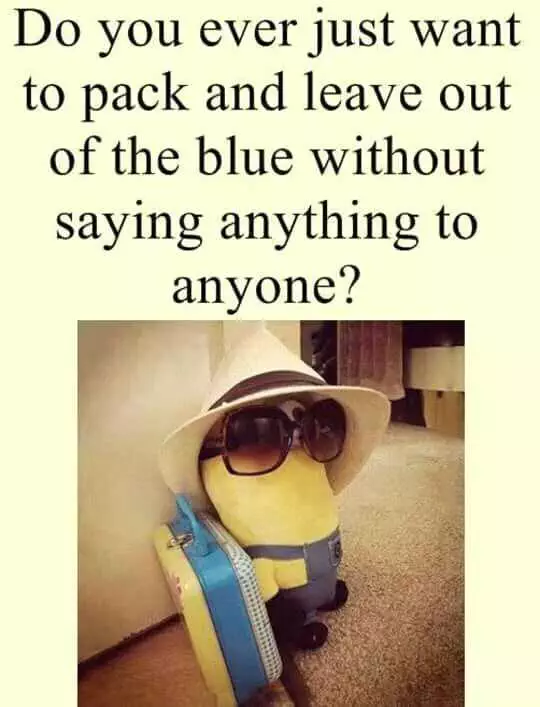 Hilarious Minion Quotes With Attitude  Leaving