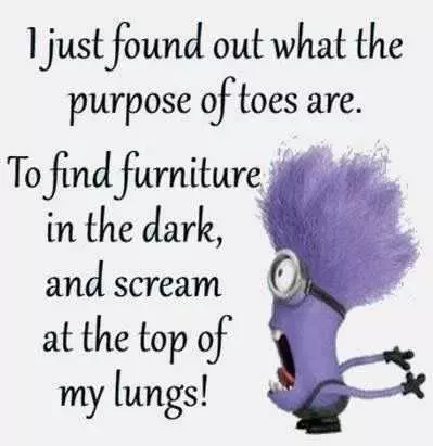Funny Minion Quotes About Life  Toes