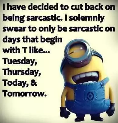 Great Minion Quotes  Sarcasm