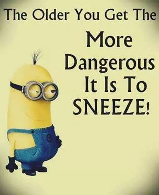 Great Minion Quotes  Sneezing