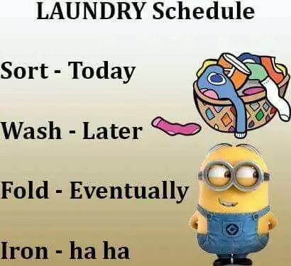 Great Minion Quotes  Laundry