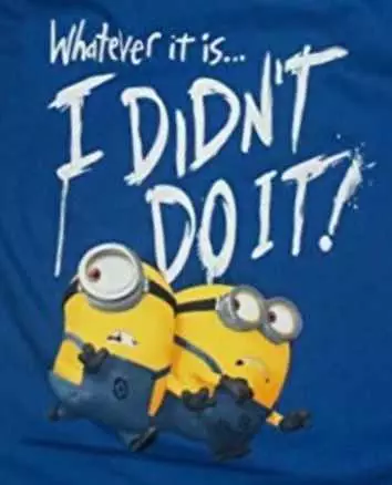 Funny Minion Quotes About Life  Not Me