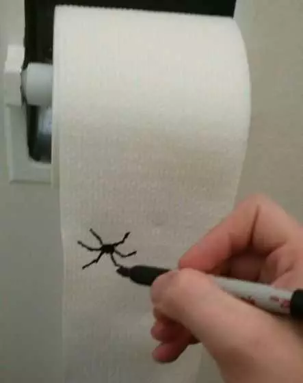 Funny April Fool'S Prank Ideas  Spider On Toilet Paper