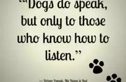 Quote Dogs Speak