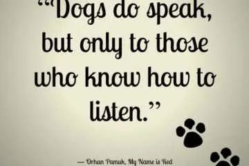 Quote Dogs Speak