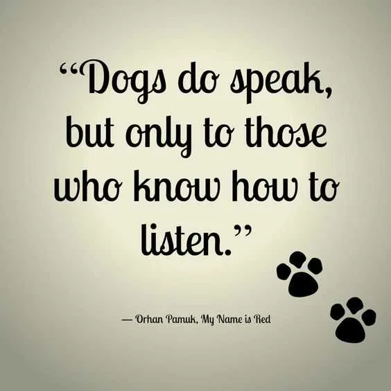 Dog Lover Quotes  Dog Speak