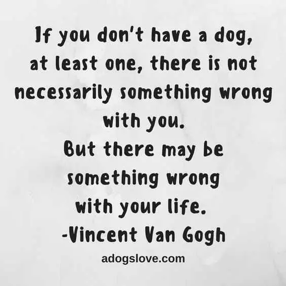 Dog Lover Quotes  Dogs