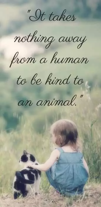 Animal Lovers Quotes  Kindness To Animals
