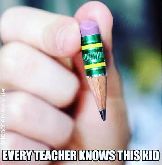 Hilarious Funny Teacher Memes  Using Every Last Inch