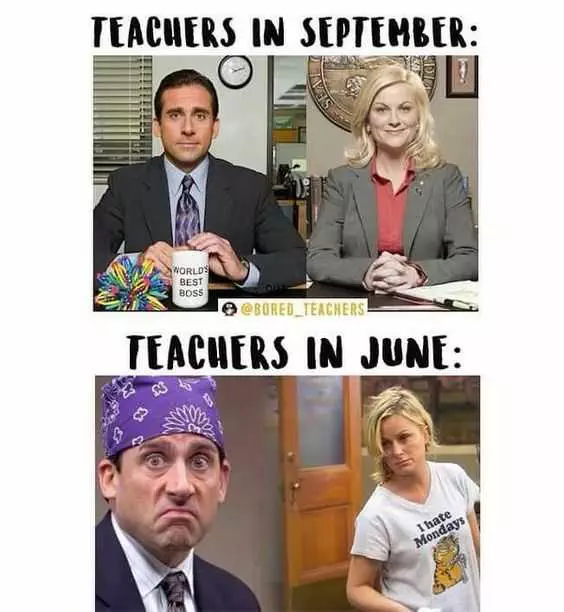 Hilarious Funny Teacher Meme  The Devolution