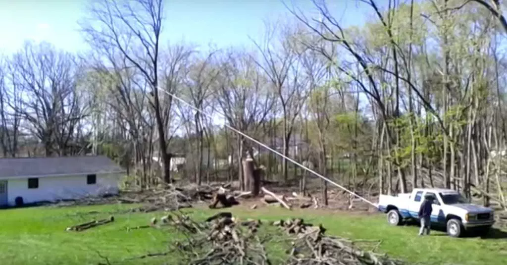 Tree Removal Goes Horribly Wrong For Contractors And Their Chevy Truck