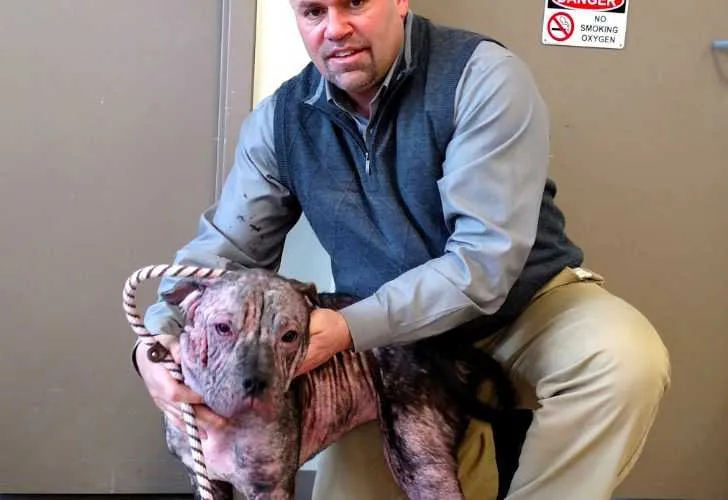 Screen Shot 2018 04 01 At 1.11.43 Am