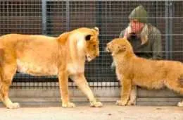 Screen Shot 2018 04 06 At 3.26.29 Pm