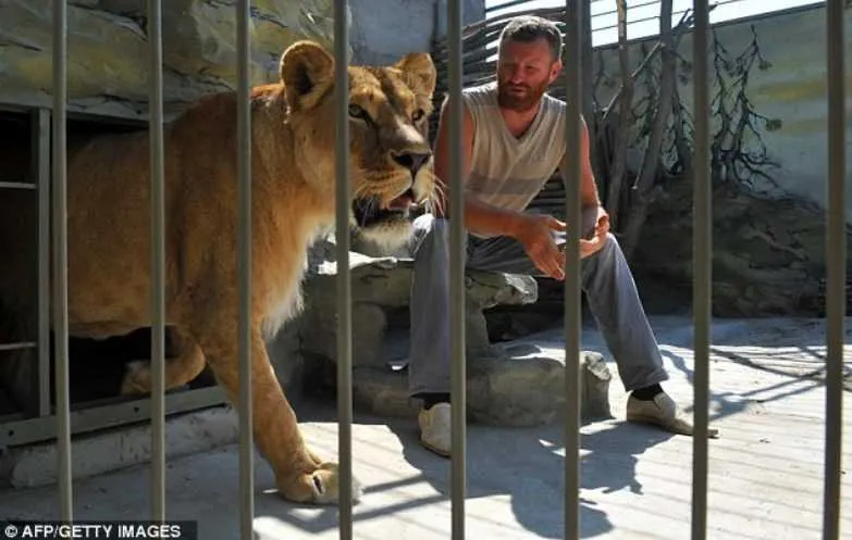 Screen Shot 2018 04 07 At 11.19.14 Pm