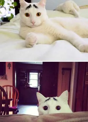 Screen Shot 2018 04 07 At 5.25.01 Pm