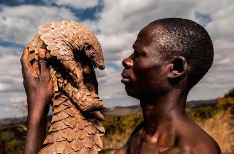 Screen Shot 2018 04 15 At 6.58.29 Pm