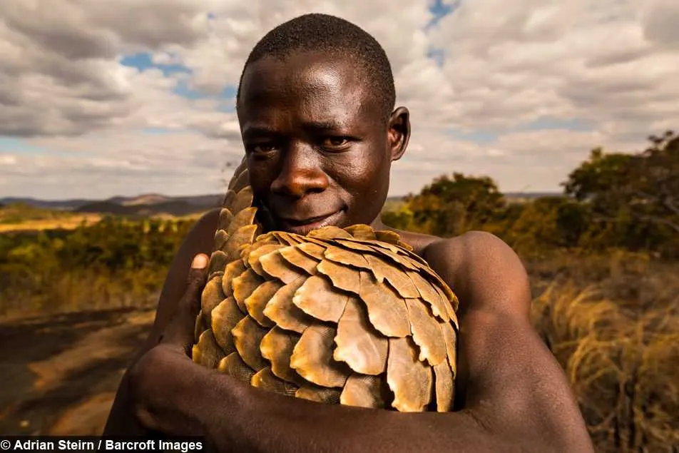 Screen Shot 2018 04 15 At 7.03.46 Pm