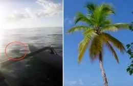 Screen Shot 2018 04 21 At 1.16.15 Pm