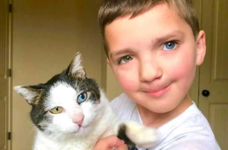 Screen Shot 2018 04 21 At 2.34.30 Pm