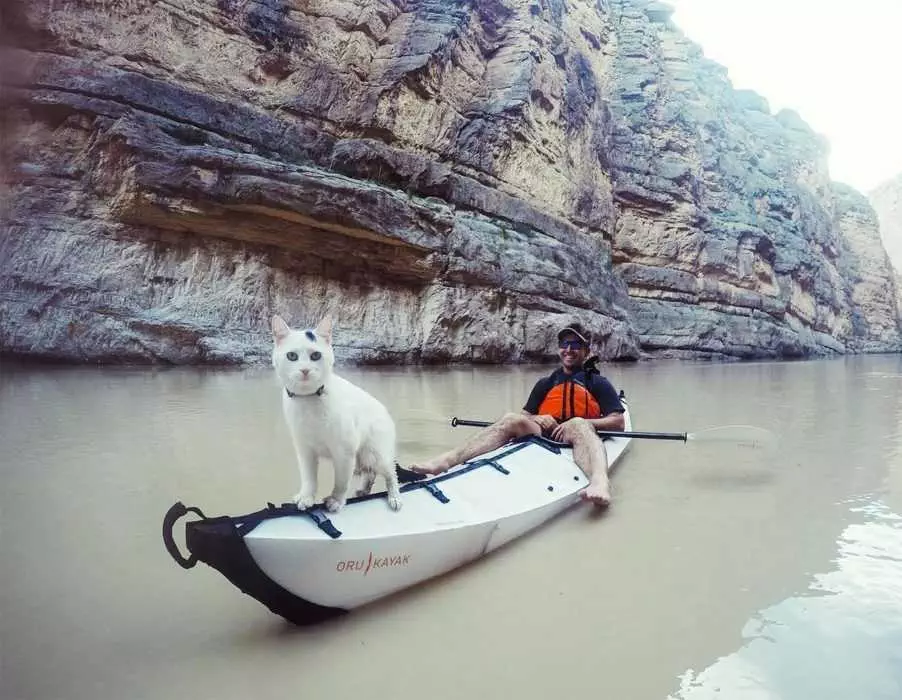 Photogenic Cat  Kayaking