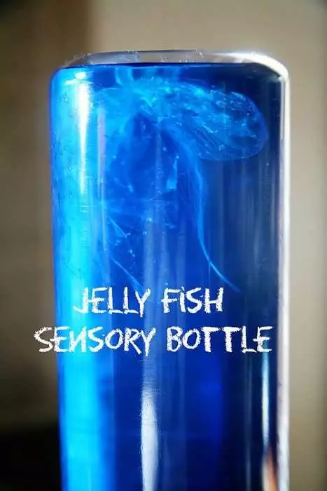 Sensory Bottles Home Made