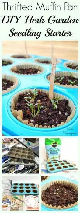 Charming Diy Spring Projects  Herb Garden