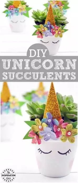 Diy Unicorn Succulents