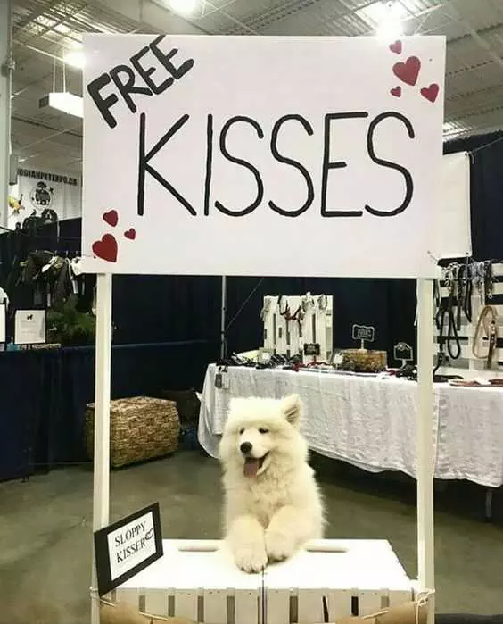 Funny Memes Pictures  Kissing Booth