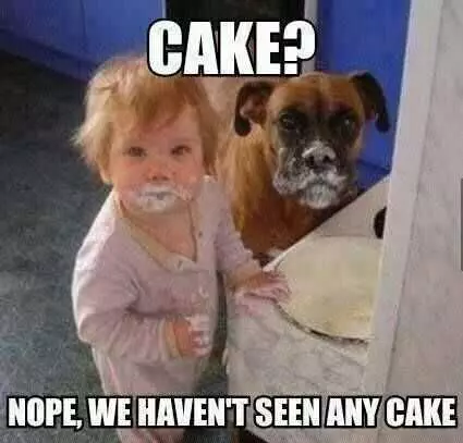 Funny Kid Pictures  What Cake?