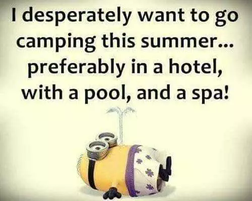 Super Funny Minion Quotes  Camping