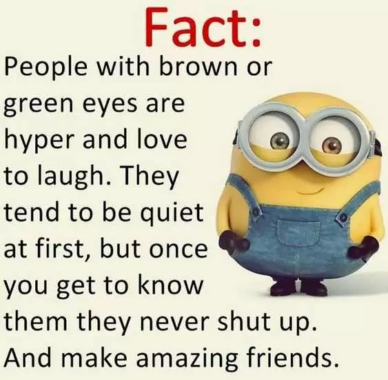 Funny Minion Quote  Fact