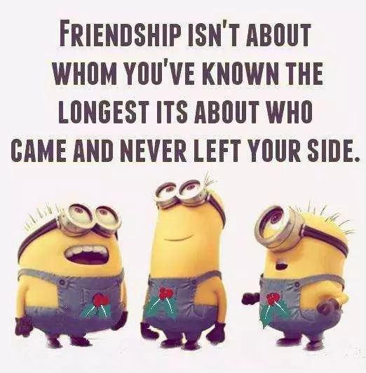 24 Funny Minion Wisdom Quotes