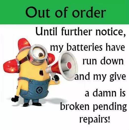 Sarcastic Minion Quote  Out Of Order