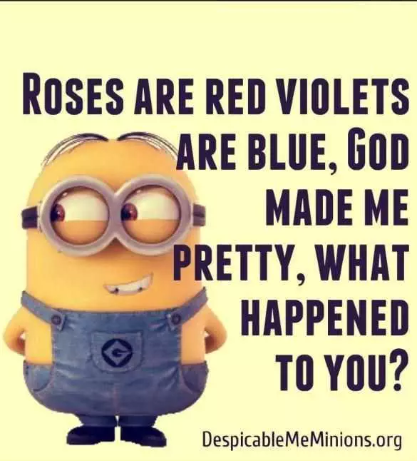 Funny Minion Quotes  Roses
