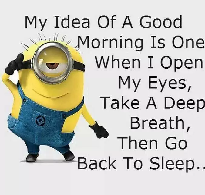 Super Funny Minion Quotes  Good Morning