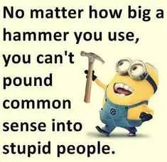 Minion Hammer Stupid