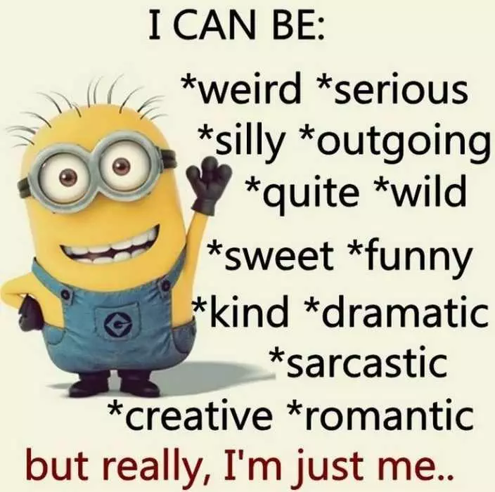 Super Funny Minion Quotes  I Can Be